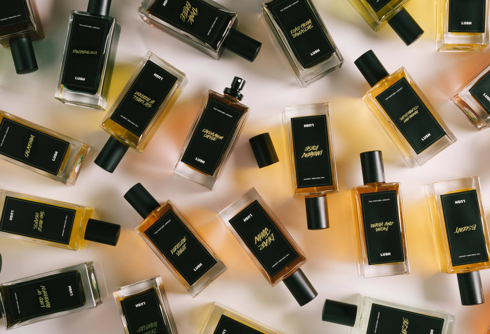 377DC942-F31F-A920-9BE3-F12746B53AC7